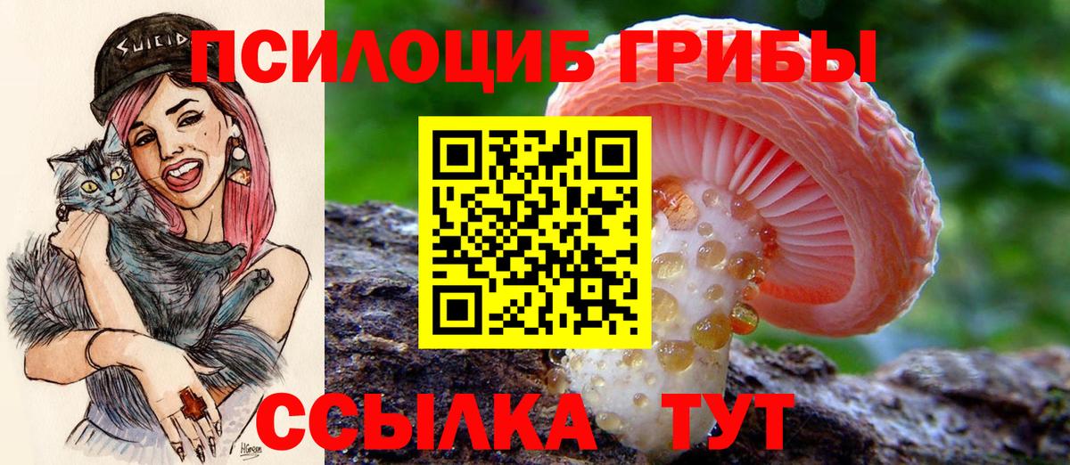 Псилоцибиновые грибы Magic Shrooms  Вход с VPN  Горячий Ключ  Псилоцибиновые грибы MAGIC MUSHROOMS 