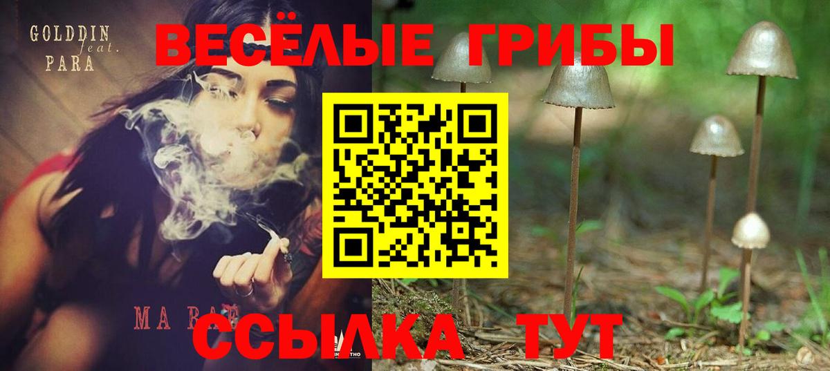 Галлюциногенные грибы Cubensis Горячий Ключ